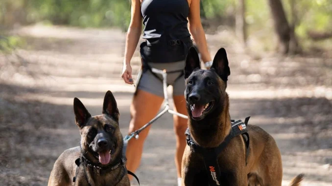 idoubledogdareya_398056386_716737050491447_2597220402636650764_n