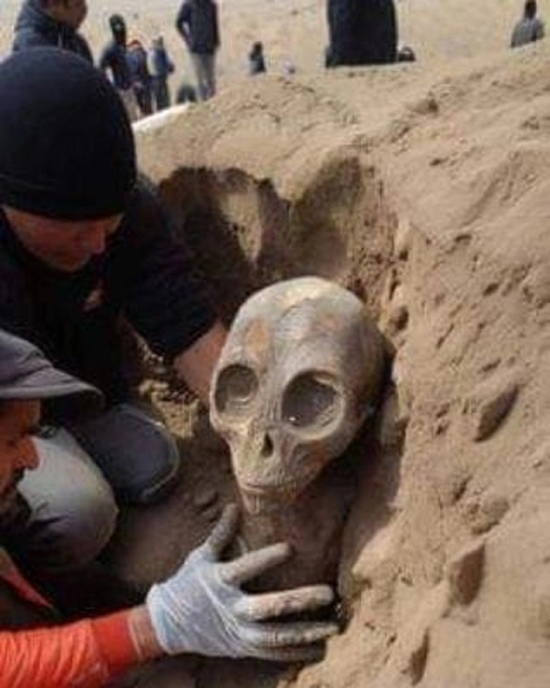 Alien Skeletons Examining the Elusive Evidence Alien Skeletons Examining the Elusive Evidence